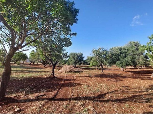casa indipendente in vendita a Carovigno in zona Serranova