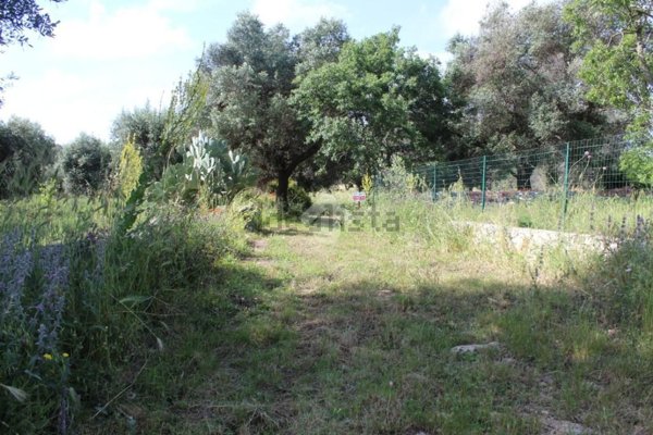 casale in vendita a Carovigno in zona Serranova