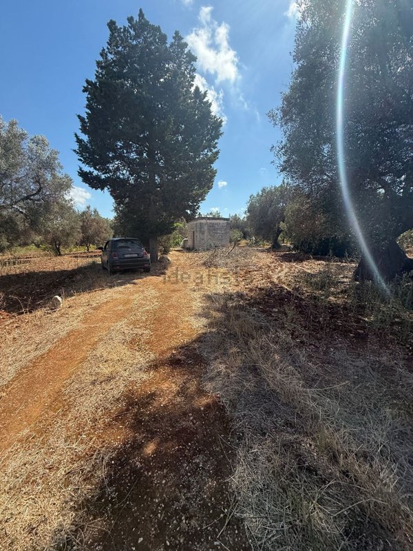 casa indipendente in vendita a Carovigno in zona Serranova