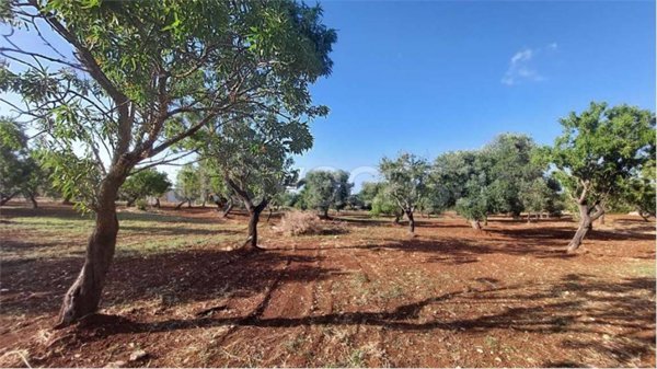 casa indipendente in vendita a Carovigno in zona Serranova