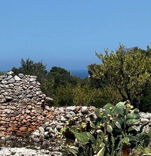 casa indipendente in vendita a Carovigno in zona Serranova