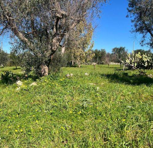 casa indipendente in vendita a Carovigno in zona Serranova