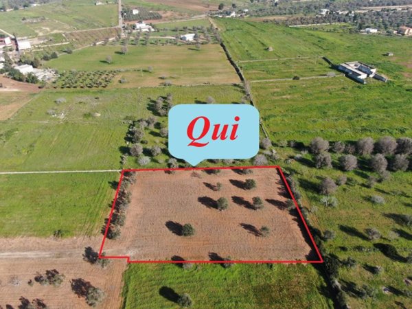 casa indipendente in vendita a Carovigno in zona Serranova