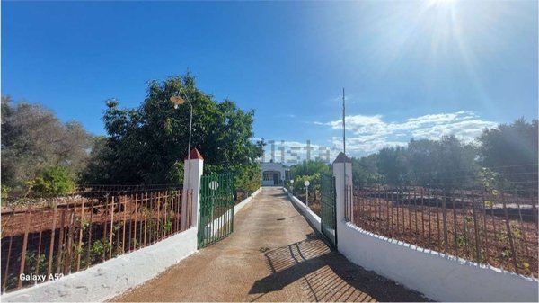 casa indipendente in vendita a Carovigno in zona Serranova