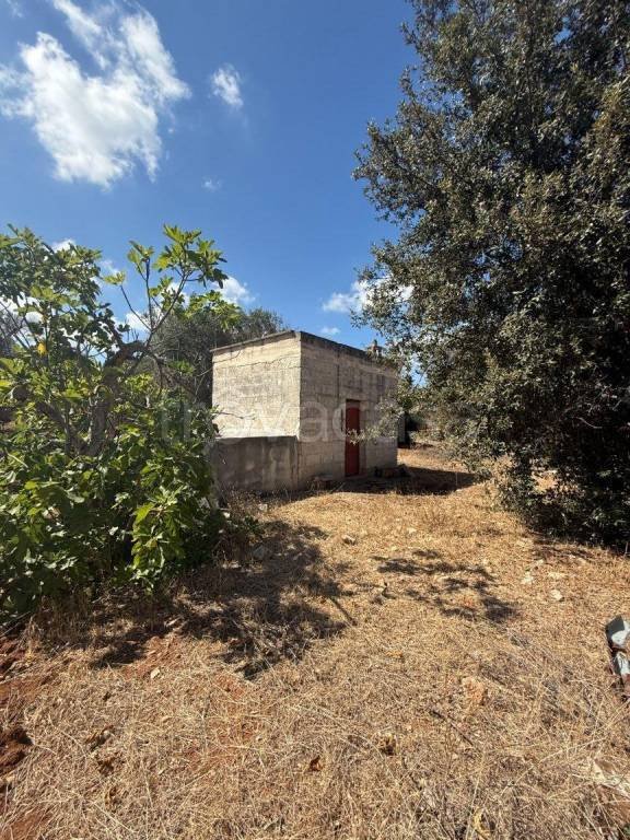 casa indipendente in vendita a Carovigno in zona Serranova