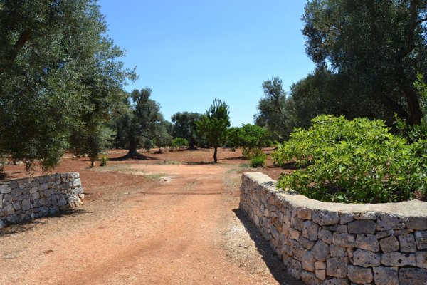 terreno edificabile in vendita a Carovigno in zona Serranova