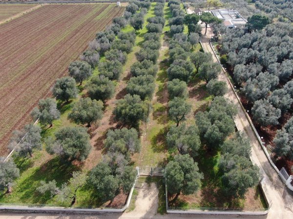 terreno in vendita a Carovigno in zona Serranova