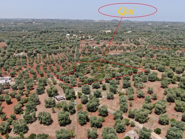 casa indipendente in vendita a Carovigno in zona Serranova