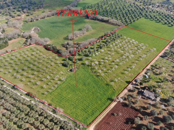 casa indipendente in vendita a Carovigno in zona Serranova