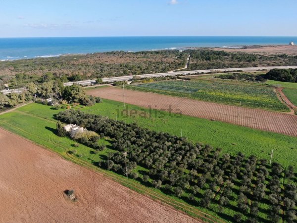 casale in vendita a Carovigno in zona Serranova