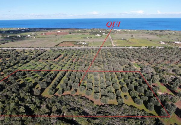 casa indipendente in vendita a Carovigno in zona Serranova