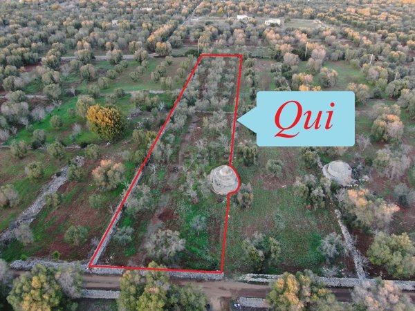 casa indipendente in vendita a Carovigno in zona Serranova