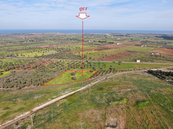 casa indipendente in vendita a Carovigno in zona Serranova