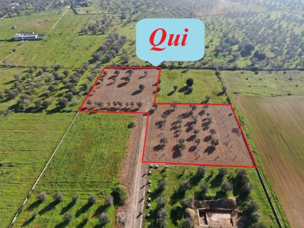 casa indipendente in vendita a Carovigno in zona Serranova