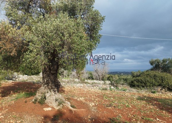 terreno in vendita a Carovigno in zona Serranova