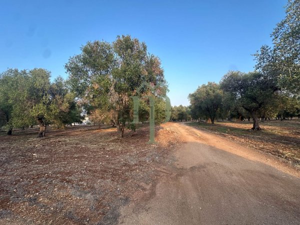 terreno in vendita a Carovigno in zona Serranova