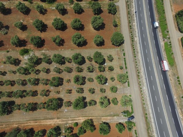 terreno in vendita a Carovigno in zona Serranova