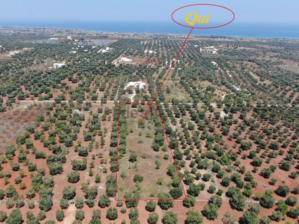 terreno in vendita a Carovigno in zona Serranova