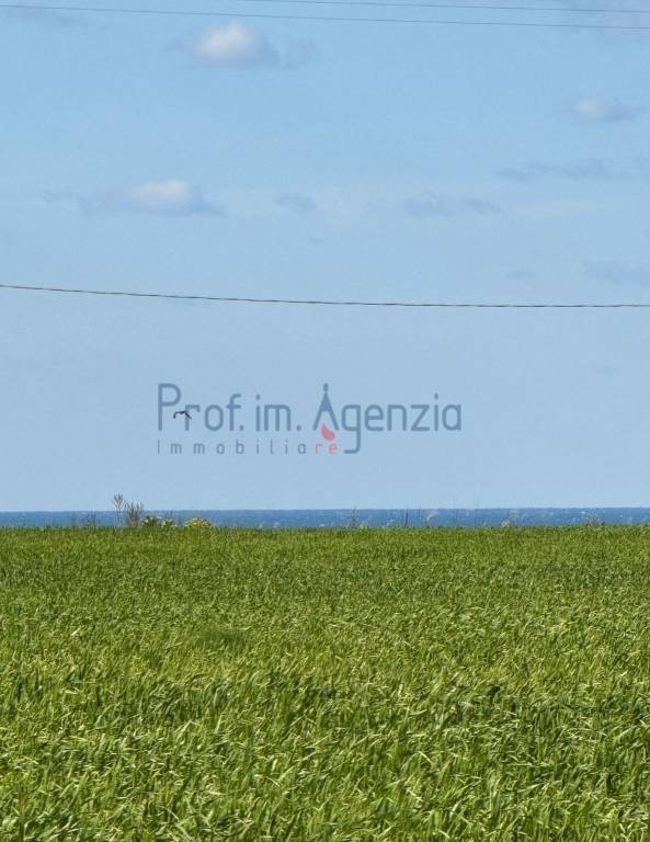 casa indipendente in vendita a Carovigno