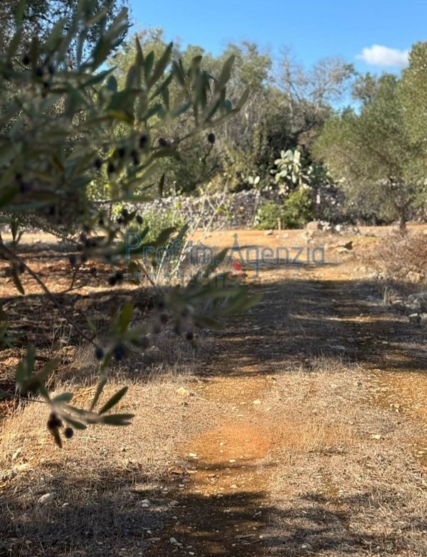 terreno in vendita a Carovigno in zona Serranova