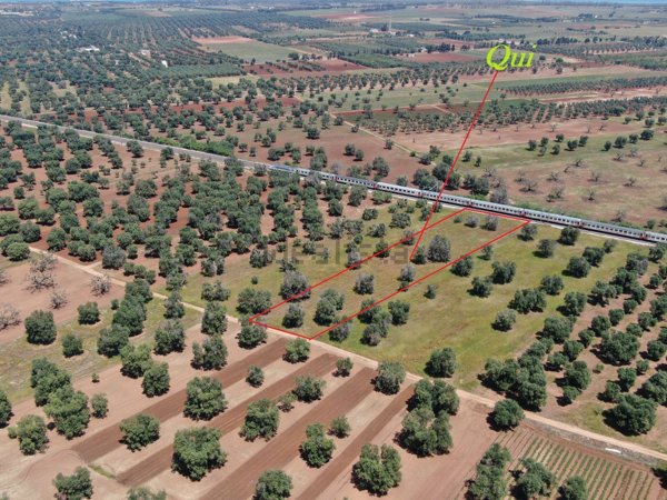 terreno in vendita a Carovigno in zona Serranova