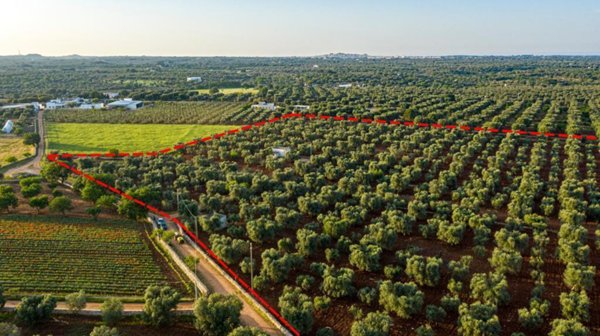 terreno edificabile in vendita a Carovigno in zona Serranova