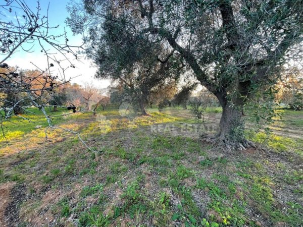 casa indipendente in vendita a Carovigno in zona Serranova