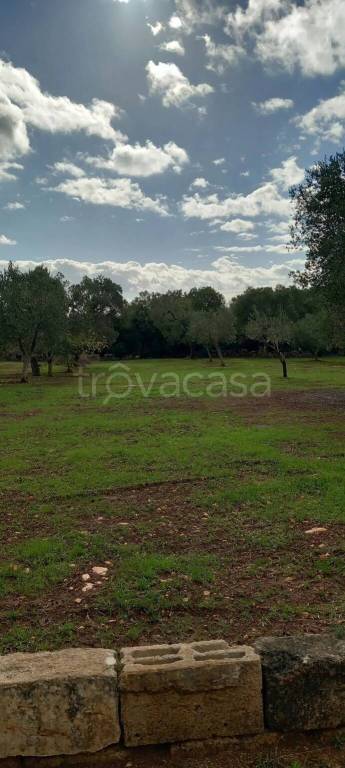 terreno in vendita a Carovigno