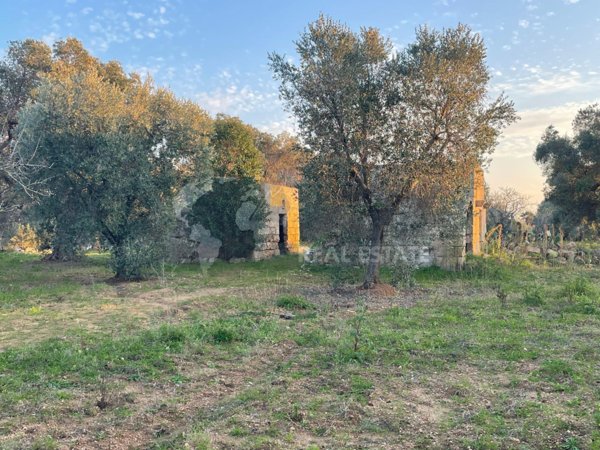 casa indipendente in vendita a Carovigno in zona Serranova
