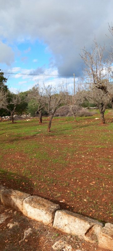 terreno in vendita a Carovigno in zona Serranova