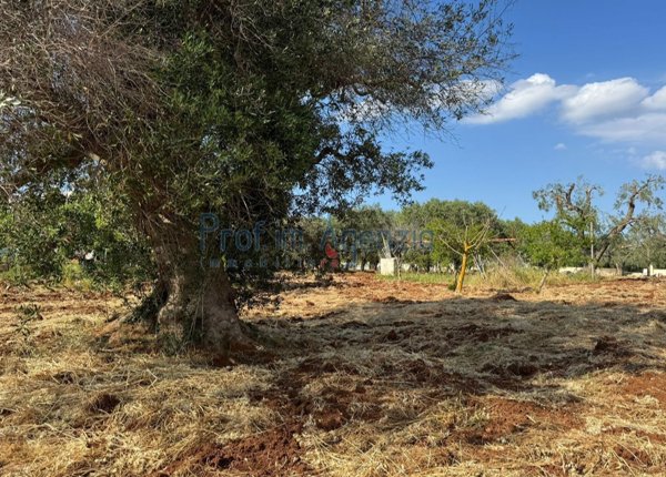 terreno in vendita a Carovigno in zona Serranova