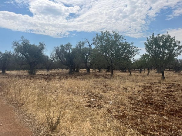 appartamento in vendita a Carovigno in zona Serranova