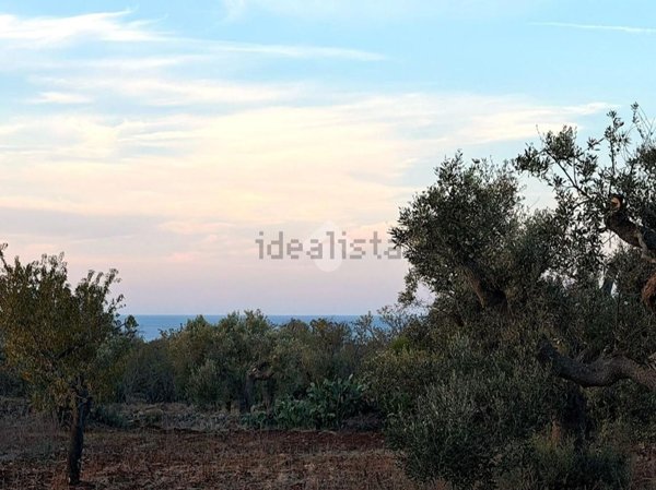 terreno in vendita a Carovigno in zona Serranova