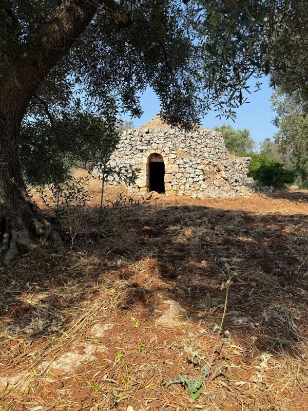 trullo in vendita a Carovigno in zona Torre Santa Sabina