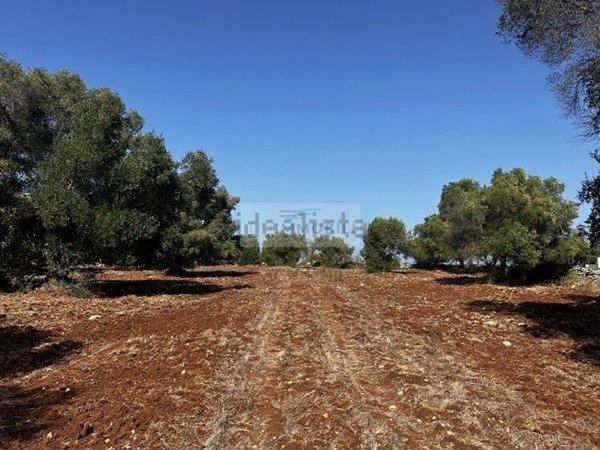 terreno in vendita a Carovigno in zona Serranova