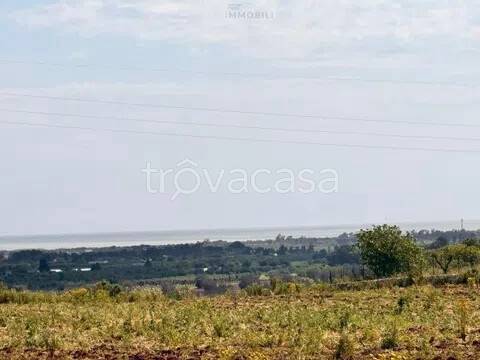 terreno in vendita a Carovigno