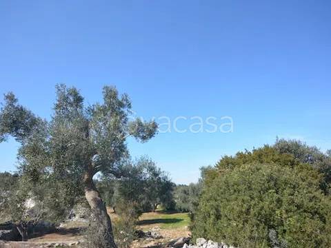 terreno in vendita a Carovigno