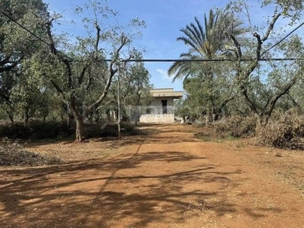 casa indipendente in vendita a Carovigno in zona Torre Santa Sabina