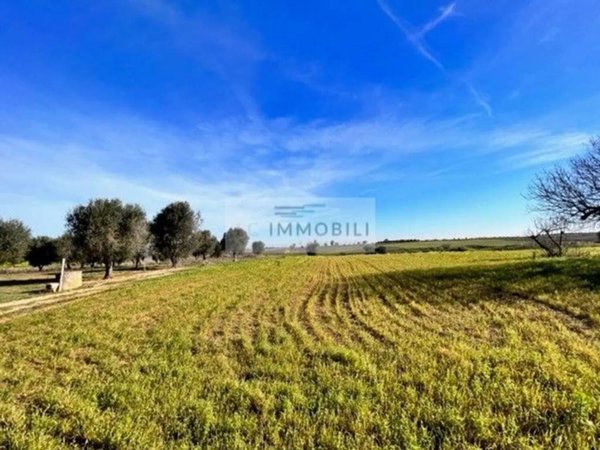 casa indipendente in vendita a Carovigno in zona Serranova
