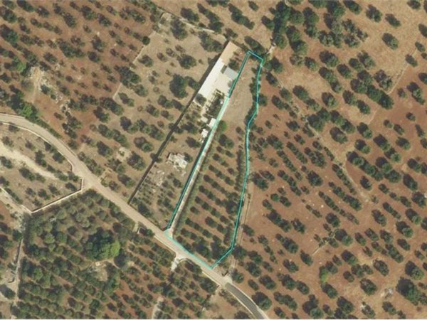 terreno in vendita a Carovigno