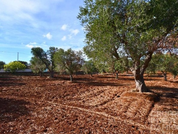 terreno in vendita a Carovigno in zona Serranova