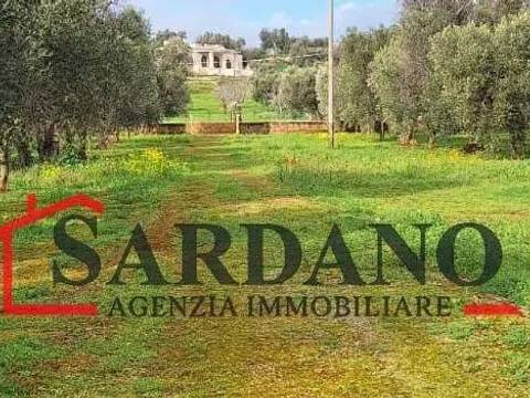 terreno in vendita a Carovigno