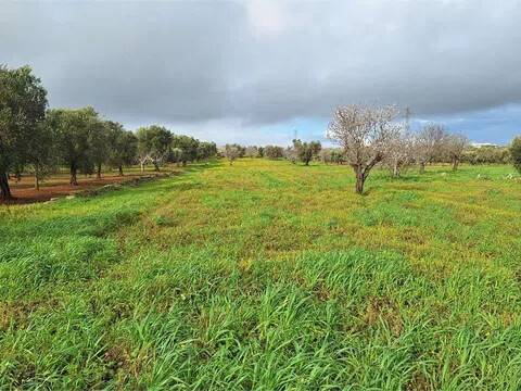 terreno in vendita a Carovigno in zona Serranova