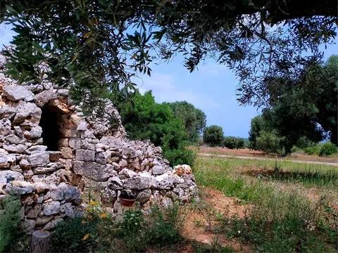 trullo in vendita a Carovigno