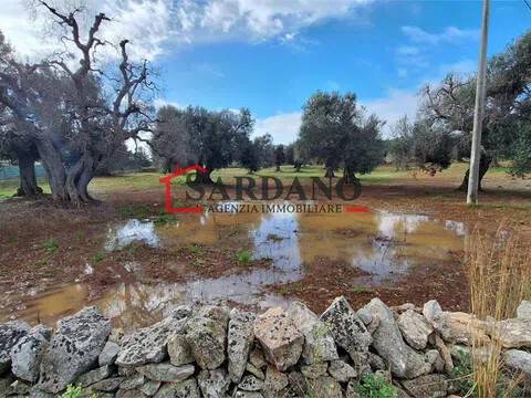 terreno in vendita a Carovigno in zona Serranova