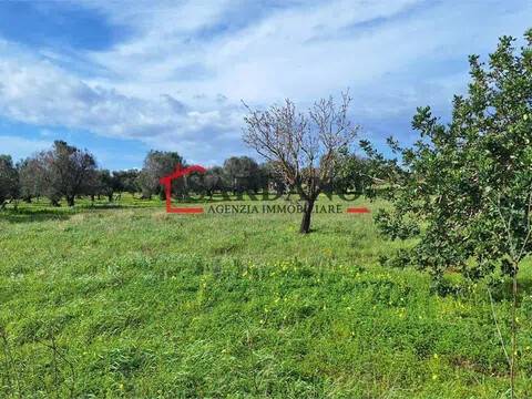 terreno in vendita a Carovigno in zona Serranova
