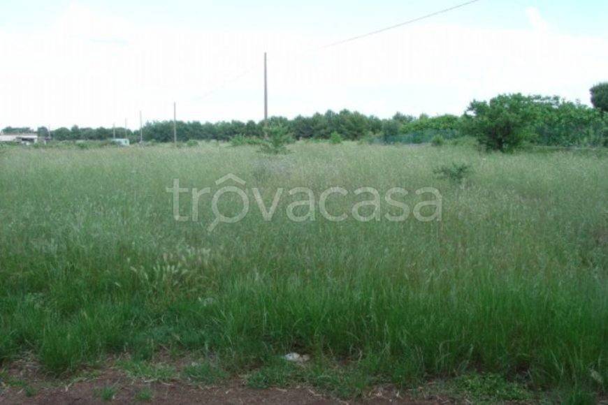 terreno in vendita a Carovigno