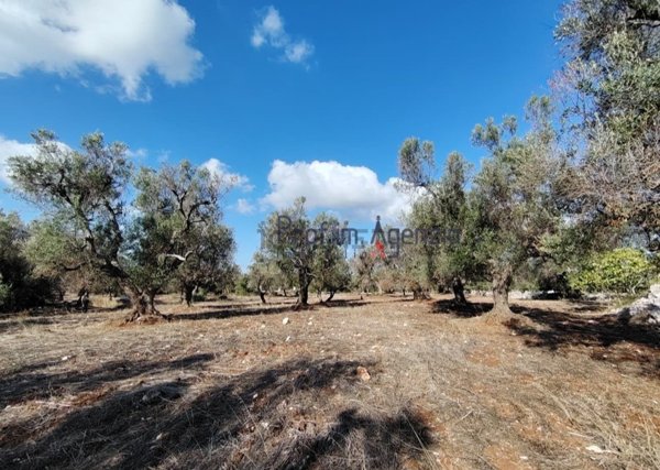 terreno in vendita a Carovigno