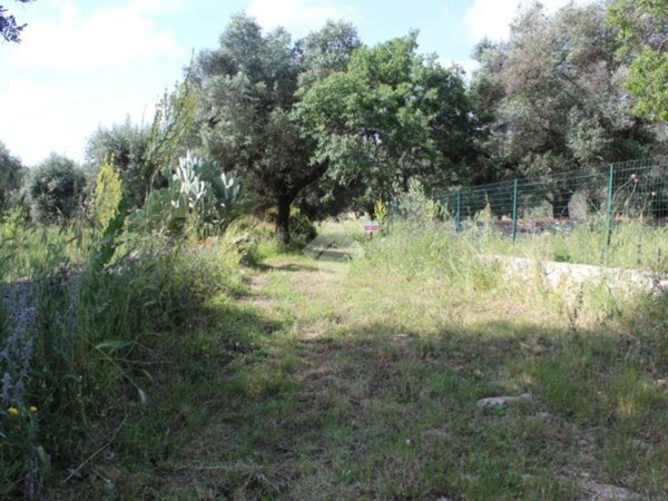 casa indipendente in vendita a Carovigno in zona Serranova