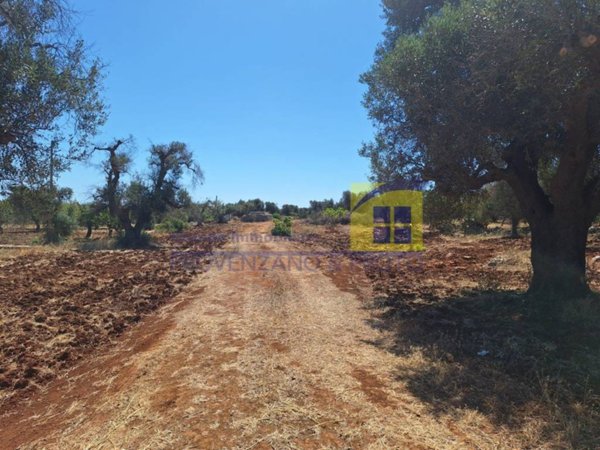 terreno in vendita a Carovigno in zona Serranova